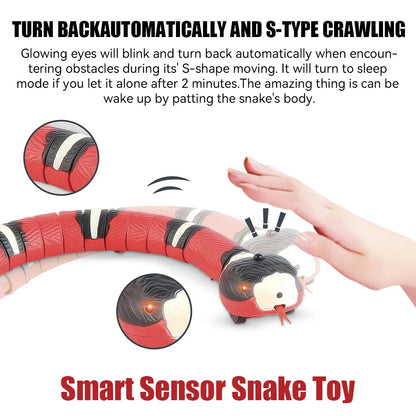 SerpentSnap Pet Toys