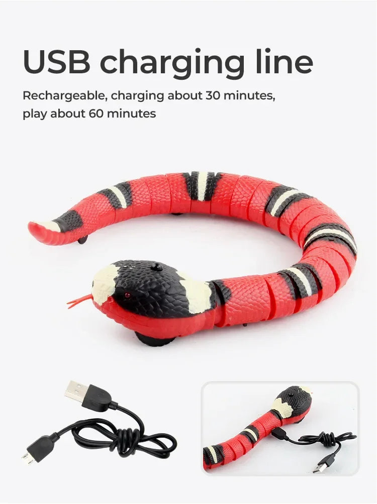 SerpentSnap Pet Toys