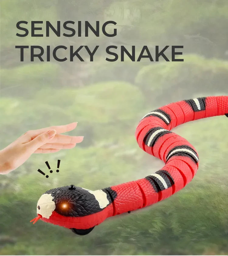 SerpentSnap Pet Toys