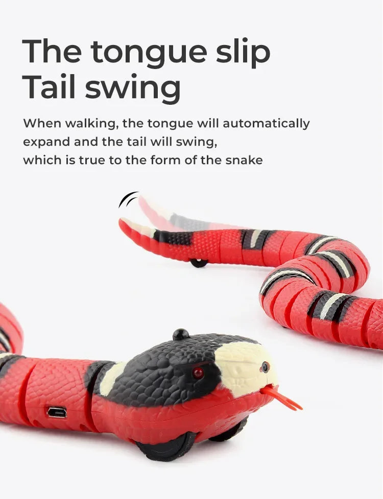 SerpentSnap Pet Toys